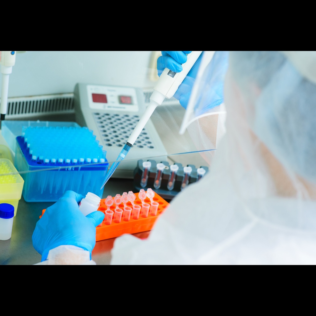 Bacillus Anthrax Real Time PCR Kit