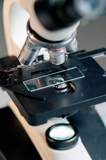 [SK-CELL-66] Cover Glass