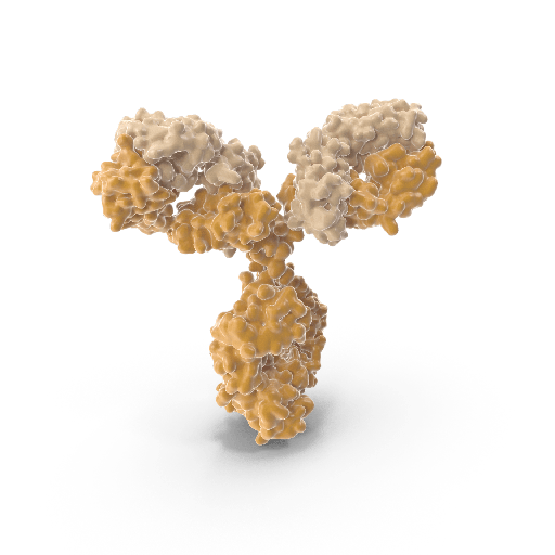 [0513-CABT-CS276 -16C5-100ug] Anti-HPV 35 L1 monoclonal antibody (set)